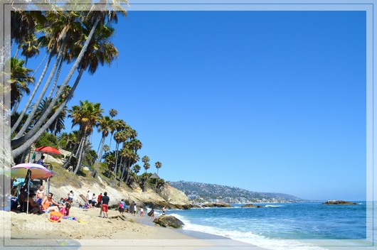 1comp_DSC_1313.jpg