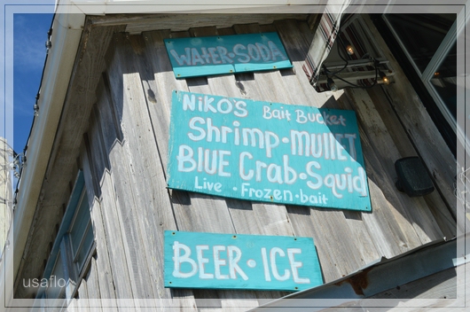 1comp_DSC_1351.jpg