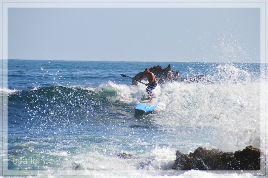 1comp_DSC_1396.jpg