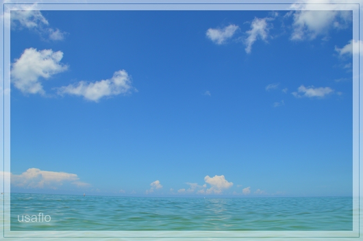 1comp_DSC_1486.jpg
