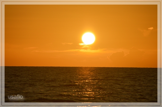 1comp_DSC_1583a.jpg