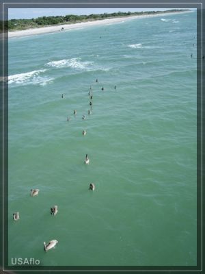comp_IMG_0554.jpg