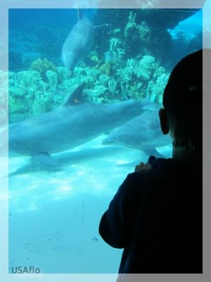 comp_IMG_0810.jpg