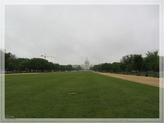 comp_IMG_4086.jpg
