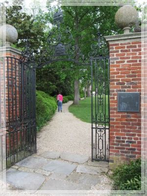 comp_IMG_4381.jpg