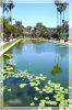 1comp_DSC_0028a.jpg