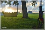 1comp_DSC_0559.jpg