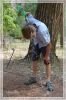 1comp_DSC_0623a.jpg