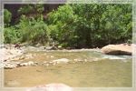 1comp_DSC_0633.jpg