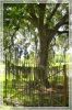 1comp_DSC_0683.jpg