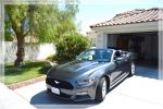 1comp_DSC_0972.jpg