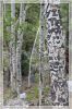 1comp_DSC_1018.jpg