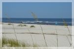 1comp_DSC_1100.jpg