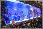 1comp_DSC_1183.jpg