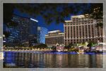 1comp_DSC_1204~0.jpg