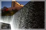 1comp_DSC_1233.jpg
