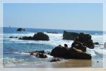 1comp_DSC_1345.jpg