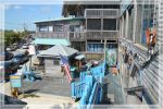 1comp_DSC_1348.jpg