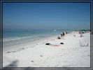 comp_IMG_0415.jpg