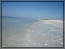 comp_IMG_0477.jpg
