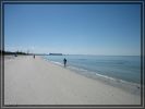 comp_IMG_0479.jpg