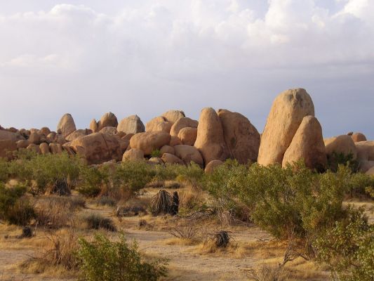 Im Joshua Tree N.P.
Rock (s) 'n Roll...Kegel für Riesen!
