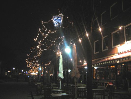 Nein, keine Weihnachtsbeleuchtung mehr....
....die Bäume sind eher schon für die Abendspaziergänge am Weserufer im Frühling und im Sommer geschmückt!
