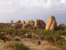 Im Joshua Tree N.P.