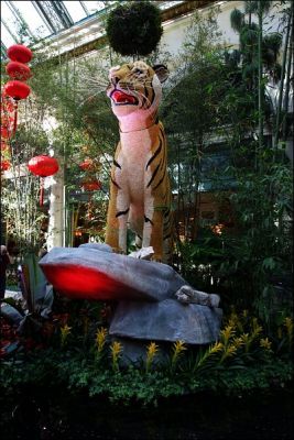 15_02__Bellagio_Conservatory_2.jpg