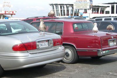 CIMG0147_400x300.JPG