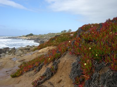 CIMG0219_400x300.JPG