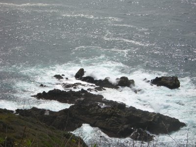 CIMG0253_400x300.JPG