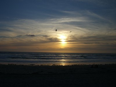 CIMG0308_400x300.JPG