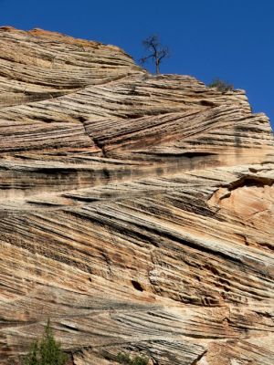 Zion NP
Schlüsselwörter: Zion NP