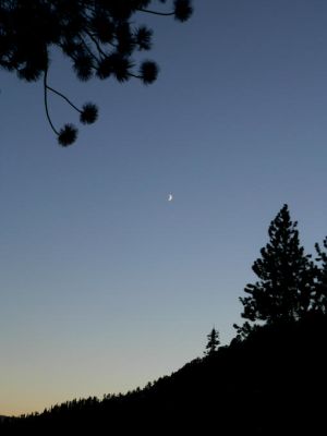 Yosemite NP
Schlüsselwörter: Yosemite NP