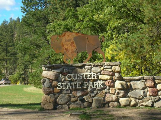 Custer_Needles007.jpg