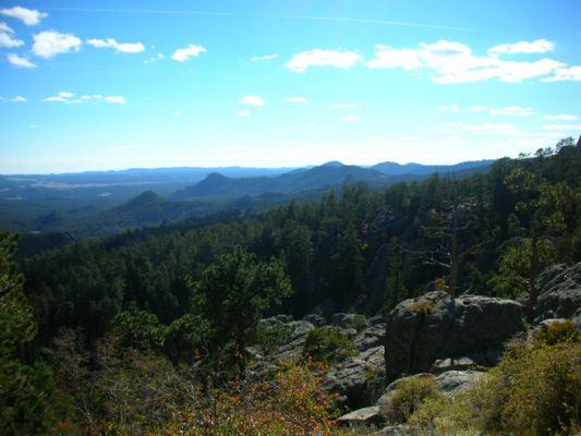 Custer_Needles024.jpg