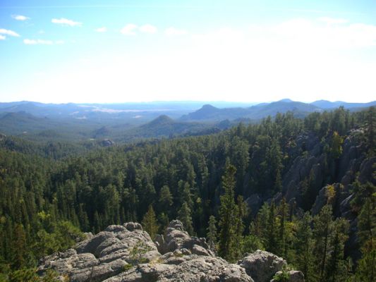 Custer_Needles029.jpg