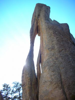 Custer_Needles088.jpg