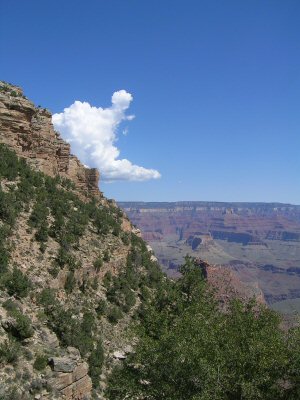 Grand Canyon 3
