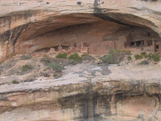 Natural Bridges NM
Horse Collar Ruin
