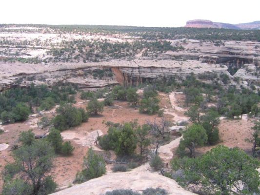 Natural Bridges
