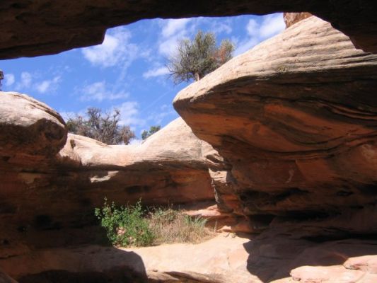 Capitol Reef 
Hickman Bridge
