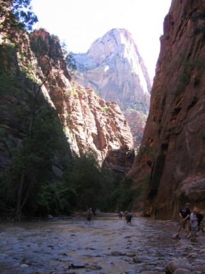Trail im Zion
