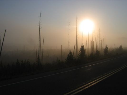 Sonnenaufgang
Yellowstone

