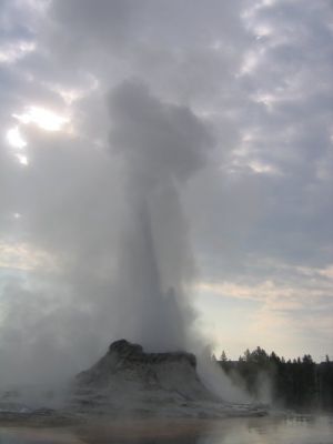 aIMG_7490.JPG