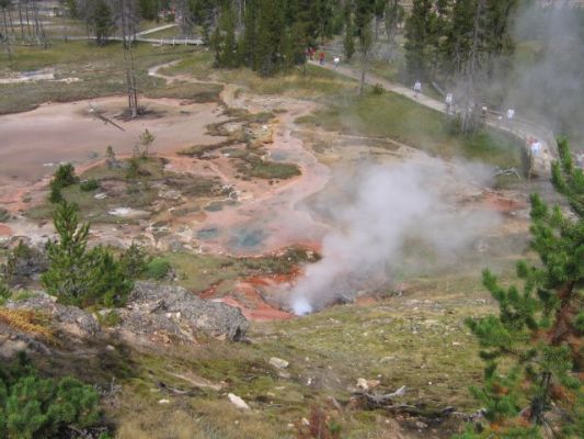 Yellowstone
