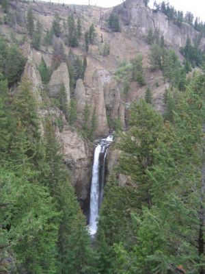 Yellowstone Falls
