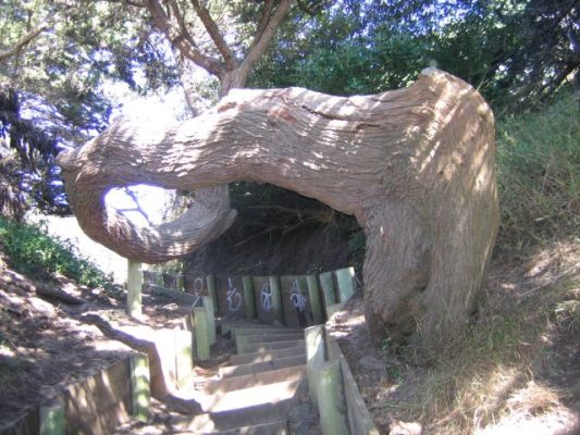 Trail zum Lands End
SFO
