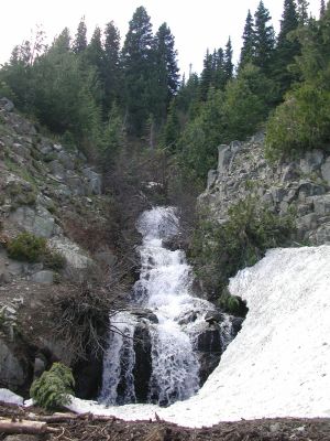 dscn0770.jpg